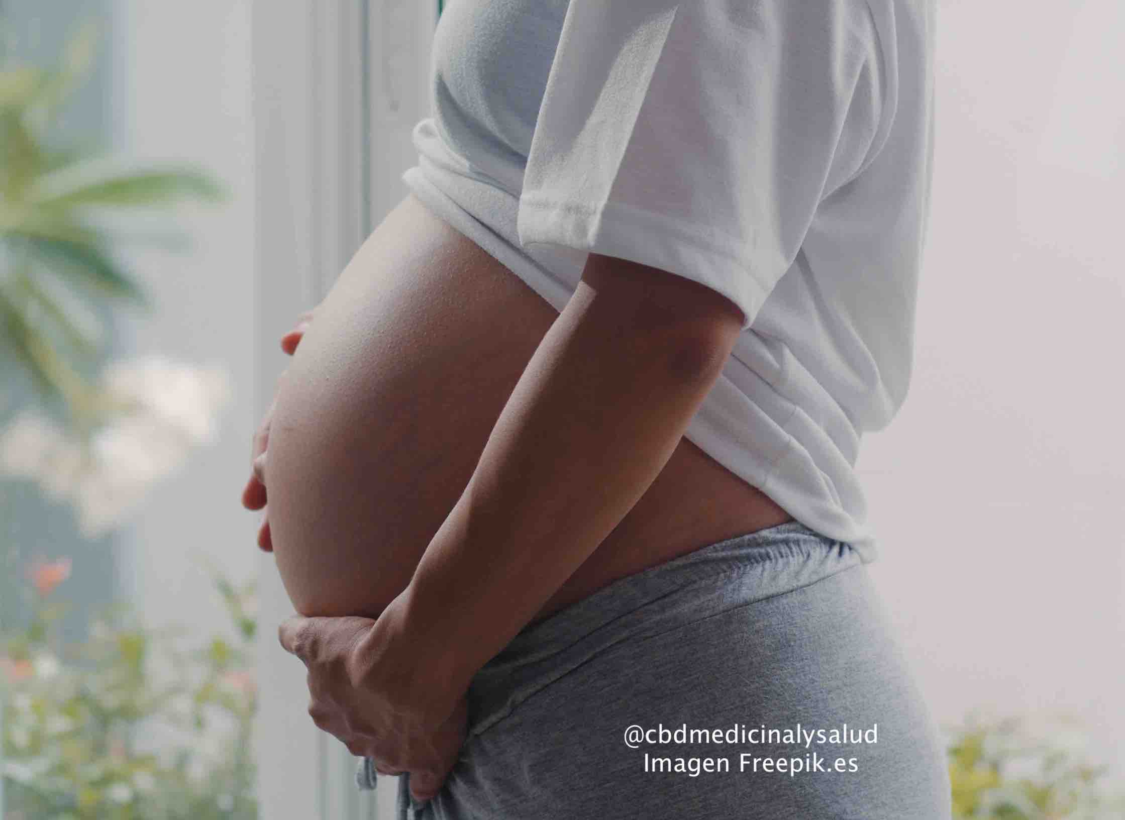 Young Asian Pregnant woman holding her belly talking with her child. Mom feeling happy smiling positive and peaceful while take care baby, pregnancy near window in living room at home concept.