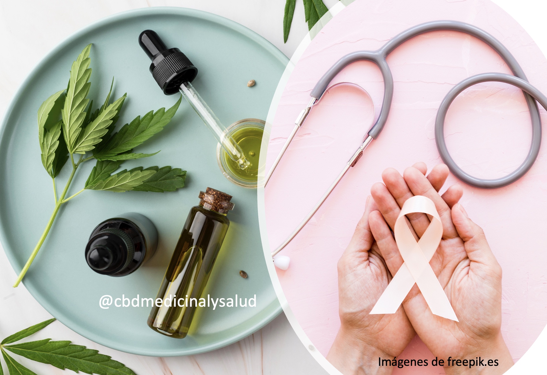 El cannabis y cáncer de mama