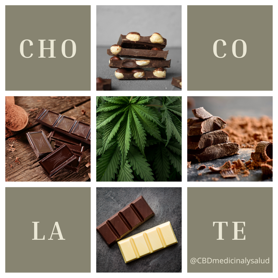 chocolate CBD